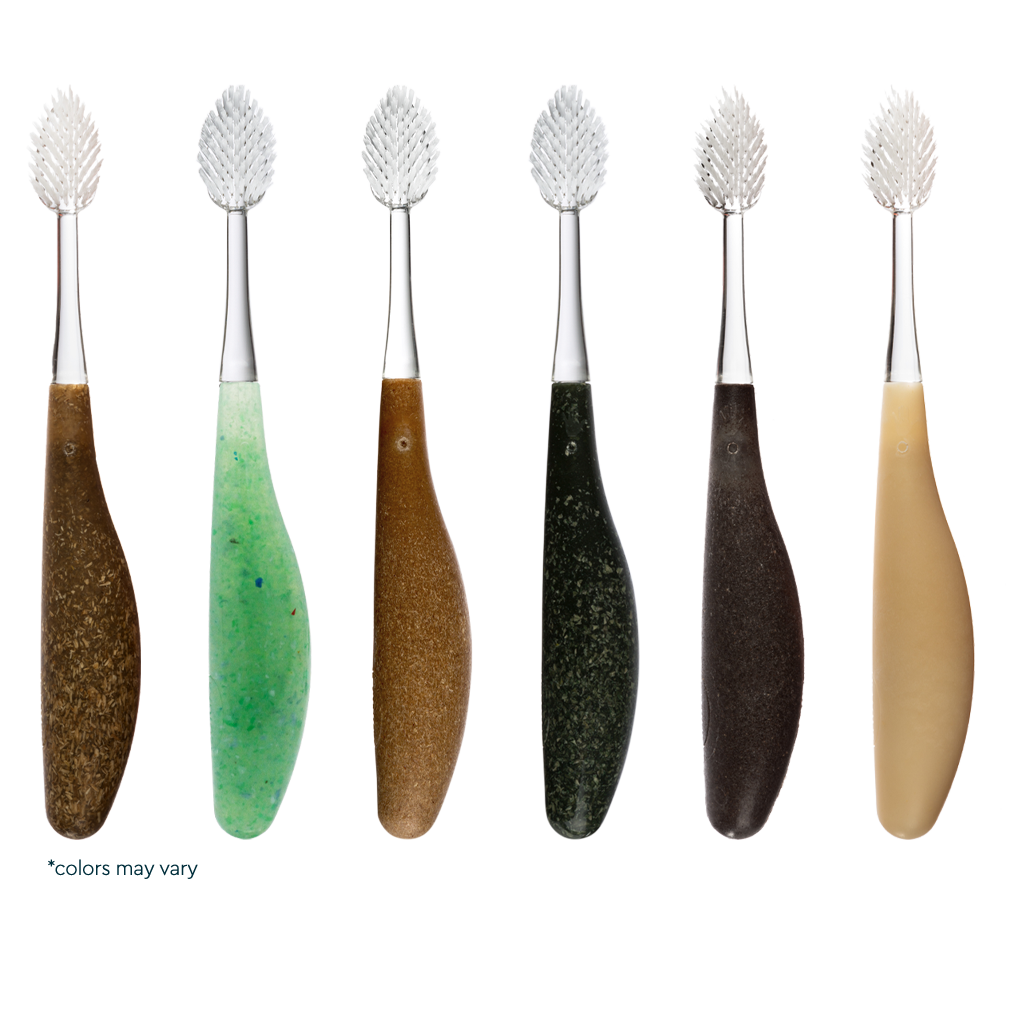 Source Replacement Head Toothbrush