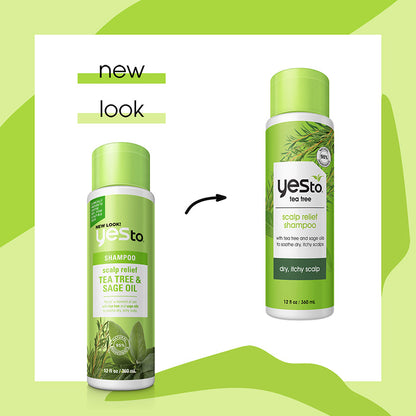 tea tree scalp relief shampoo with tea tree and sage oils to soothe dry, itchy scalps
