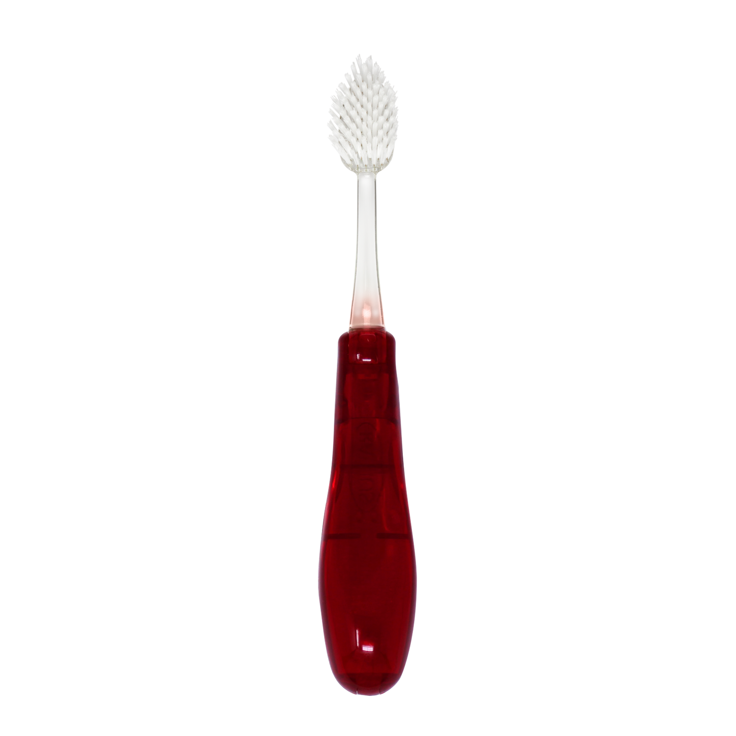 Tour Travel Brush