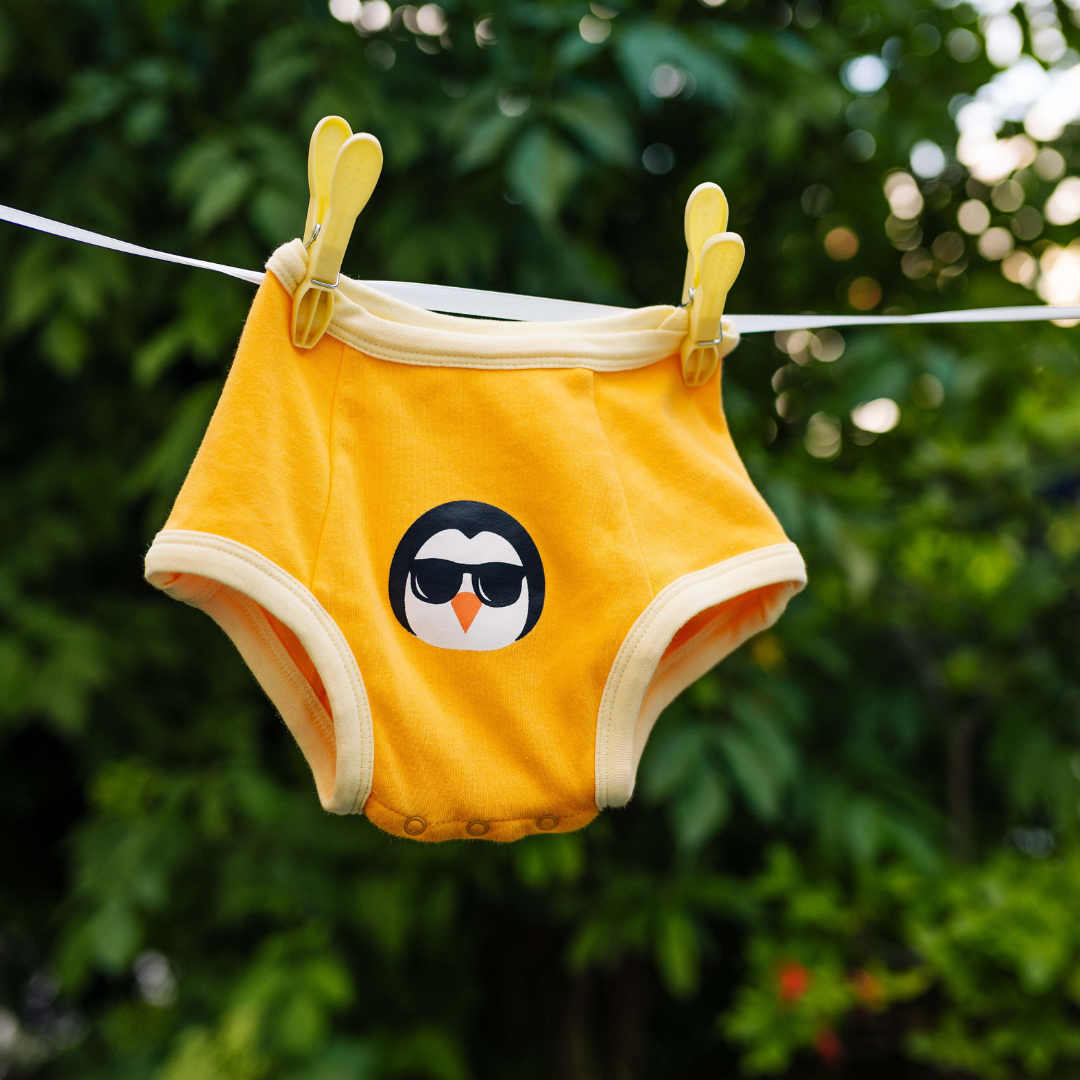 Organic Potty Training Underwear