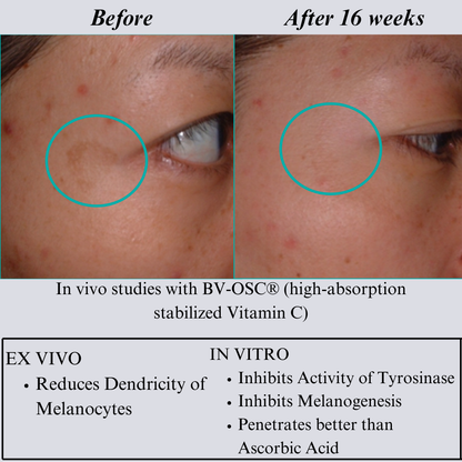 NILCEUTICA Bestsellers Discovery and Travel kit