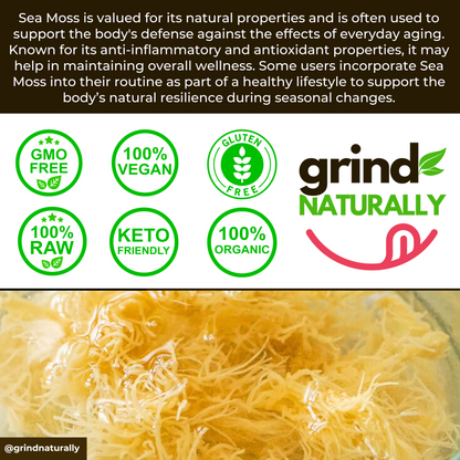 Sea Moss Ginger Ale Yummy Cran Grape (12 oz)