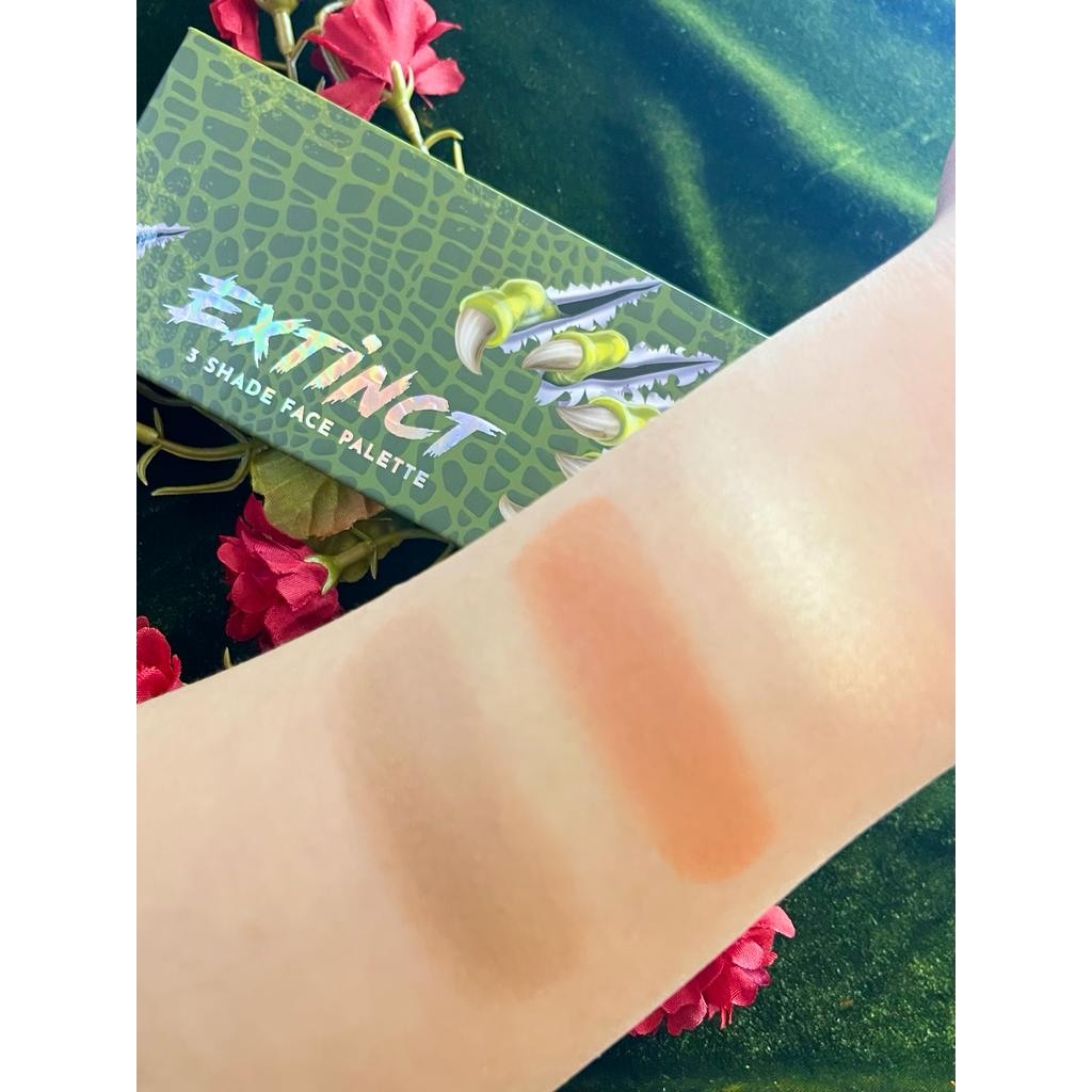 PREHISTORIC COLLECTION