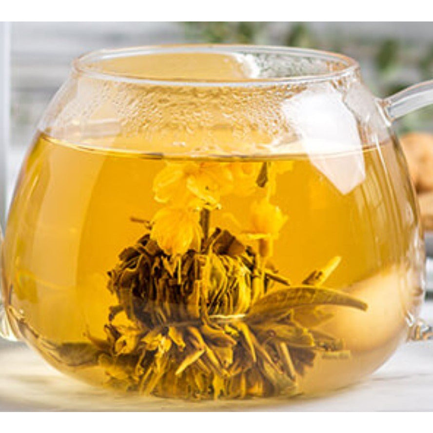 The White Lotus (Members Exclusive)