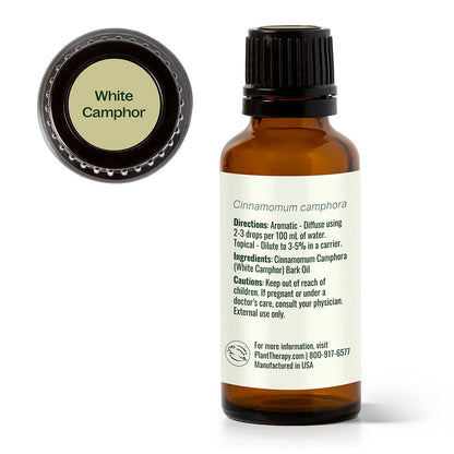 White Camphor Essential Oil