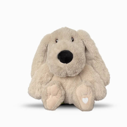 Xander Dog - Lavender Comfort Stuffed Animal