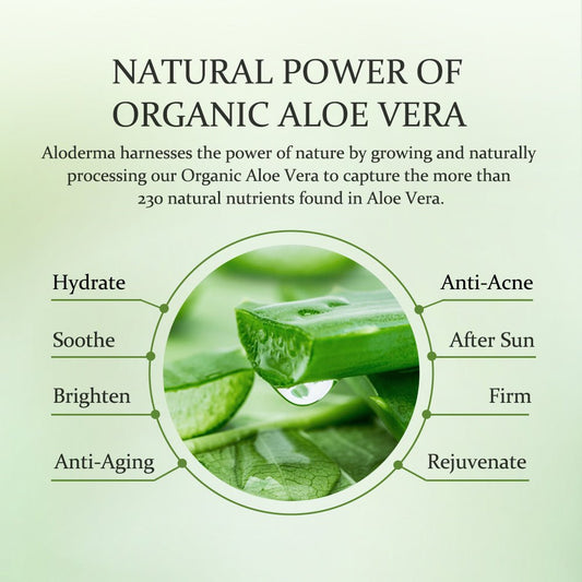 Aloe Brightening Moisturizer