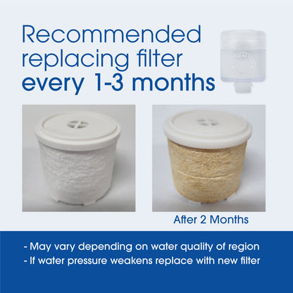 Be Healthy iBlue Link Pure Water Filter System + Refill (2pcs) Bundle