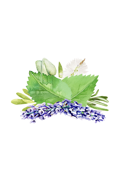 Aromatherapy Blend of Essential Oil