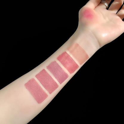 10-Color Matte Velvet Lipstick Set, 5-in-1 Long Lasting Non-Drying Lipstick Kit, Portable Multi-Color Lip Stick For Daily & Party Makeup