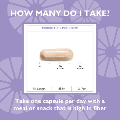 Celebrate® Balance Probiotic + Prebiotic Supplement Capsules
