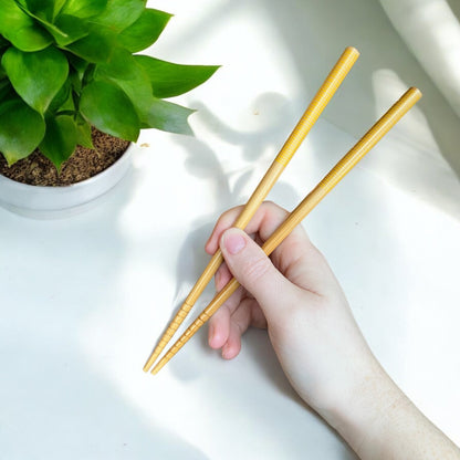 Bamboo Chopsticks | Set of 2