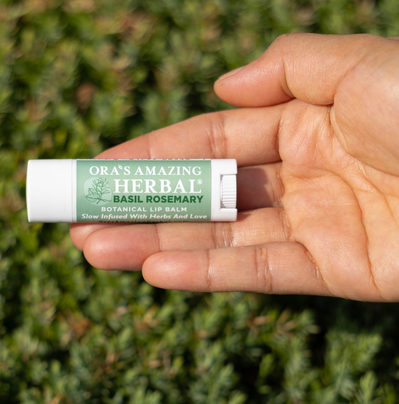 Natural Lip Balm, Herbal Infused, Basil Rosemary