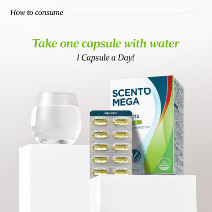 [Bundle] Scento Mega Plant Based Omega, 30 capsules x 3box