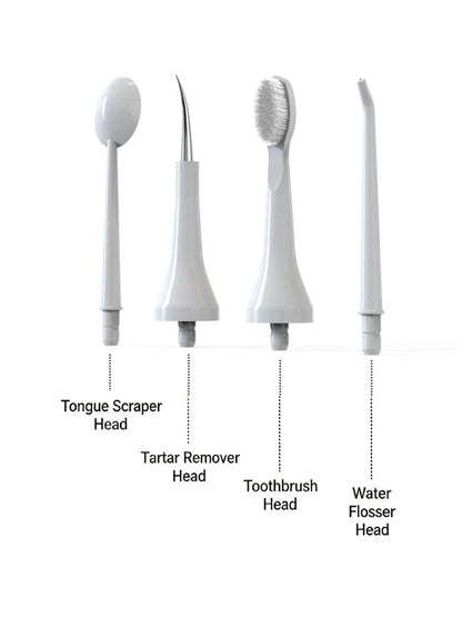 Portable Water Flosser with Multiple Nozzles
