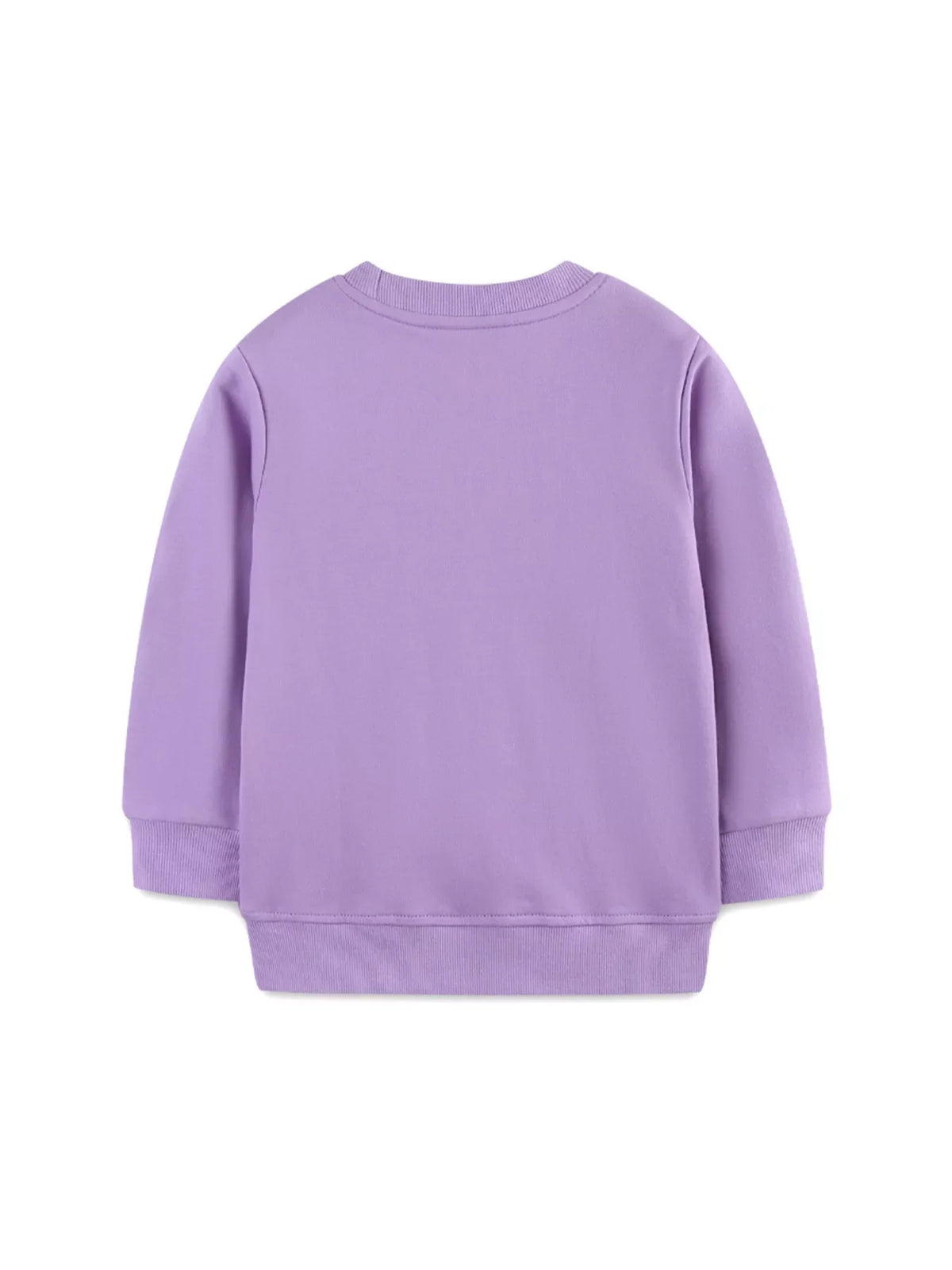 Children's Dinosaur Graphic Round Neck Sweatshirt