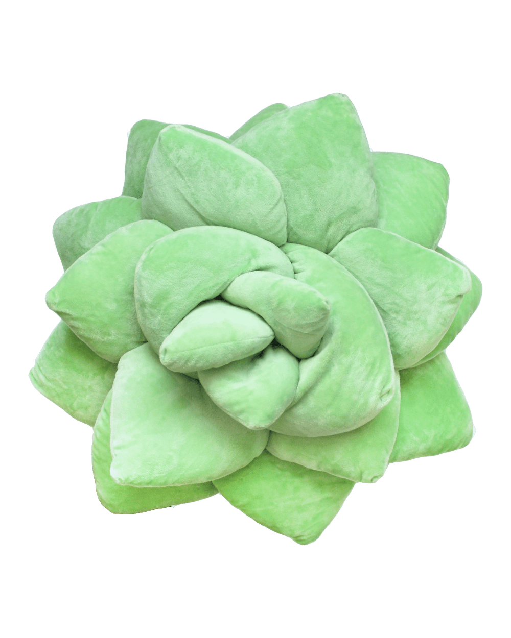 Big Pop Succulent® - Sage Green