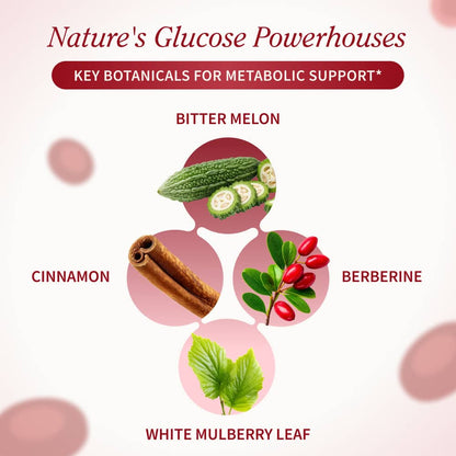 Blood Sugar & Cholesterol Health Bundle