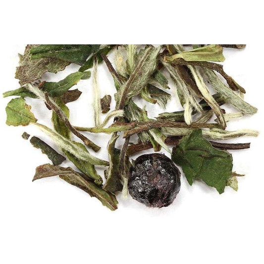 Wizard's Familiar: Raven!