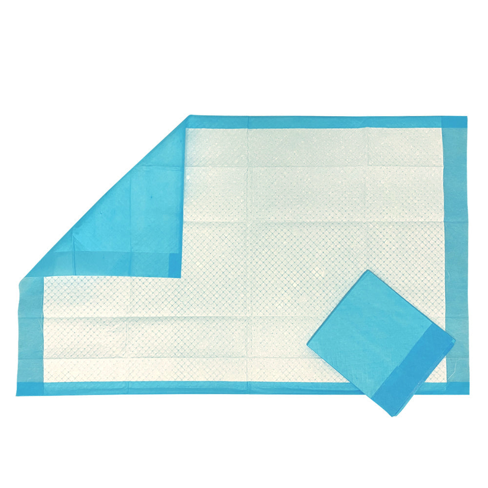 BodyMed Disposable Underpads, Standard Absorbency