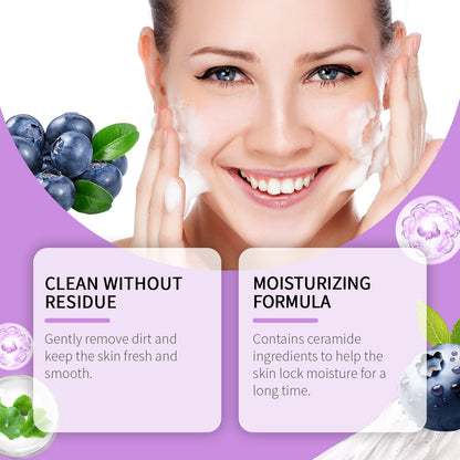 Hoygi Blueberry Flavorful Ceramide Cleansing Gel, Facial Skin Cleansing Moisturizing Hydrating Cleanser