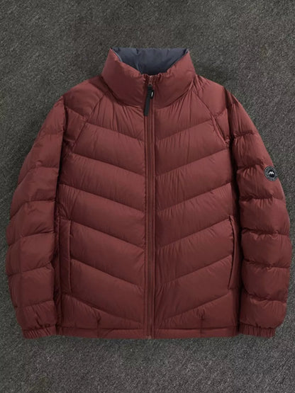 Men's Plus Size Zip Up Stand Collar Down Jacket