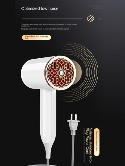 Quick-Drying & Hair Care Household Hair Dryer