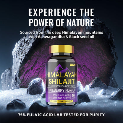 Himalayan Shilajit 8-in-1 Energy & Vitality Gummies supplement  | 60 Gummies