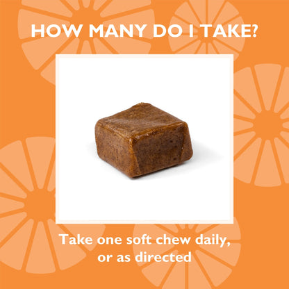 Iron 60 mg  + Vitamin C Soft Chews, Twisted Citrus
