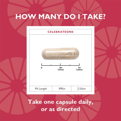 CelebrateONE Bariatric One A Day Multivitamin Capsules, Iron Free