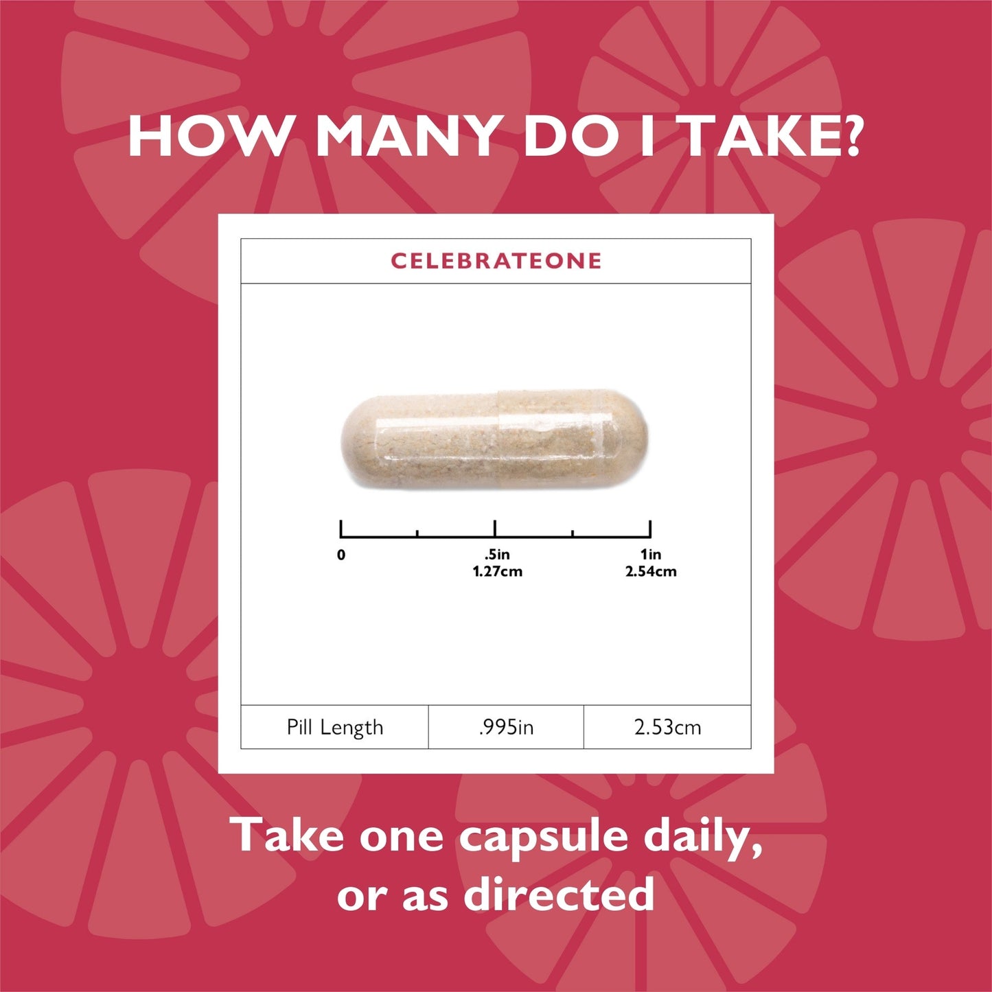 CelebrateONE Bariatric One A Day Multivitamin Capsules, Iron Free