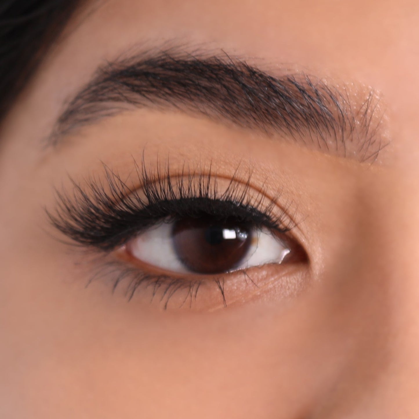 3D Mink Eyelashes - Charming