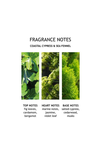 Coastal Cypress & Sea Fennel Bath & Shower Gel