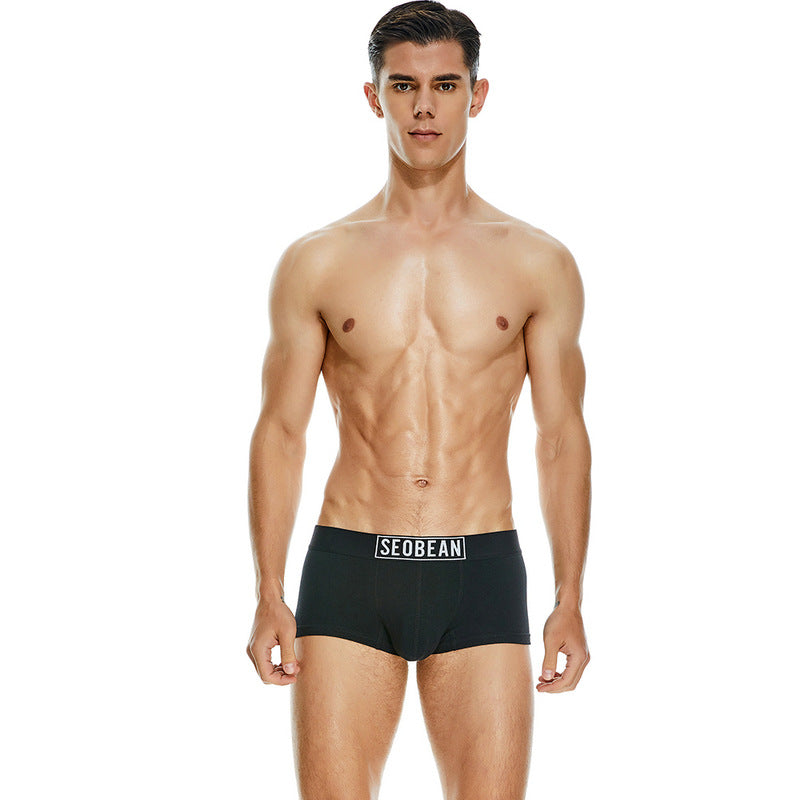 Men's Cotton Underpants Low Waist Casual Boxer Boxer Briefs