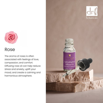 Dr Botanicals Captivating Rose Diffuser Oil 10ml Twin Value Savings Pack