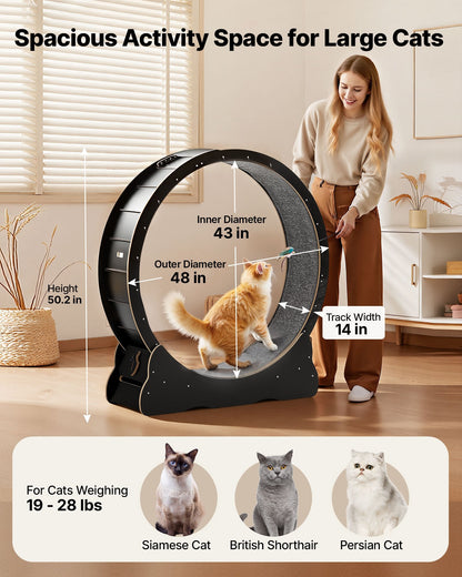 Cat Exercise Wheel, 48 In Wooden Cat Running Wheel For Indoor Cats Up To 28 Lbs, Cats Treadmill With Carpeted Runway & Locking Mechanism, Quiet Kitten Sport Toys For Pets Fitness & Health, Black