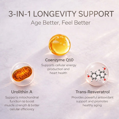 WINYEL Urolithin A Supplement Gummies - For Healthy Aging Cellular Energy Muscle Strength And Longevity - 60 Gummies