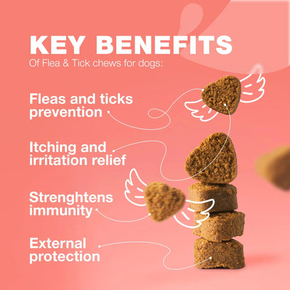 Dog Flea And Tick Treatment Chews FleaTick Prevention For Dogs Chewables Natural Dog Flea & Tick Control Soft Treats Immune Support Supplement