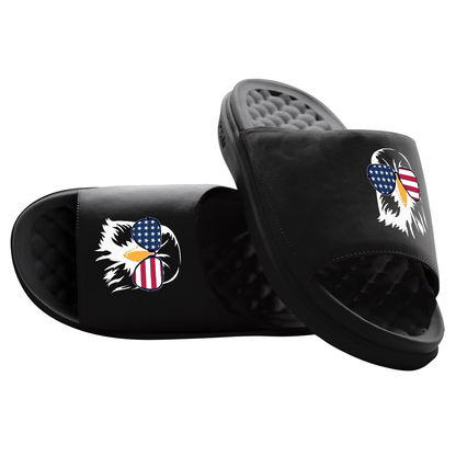 Bald Eagle Sunglasses Motive