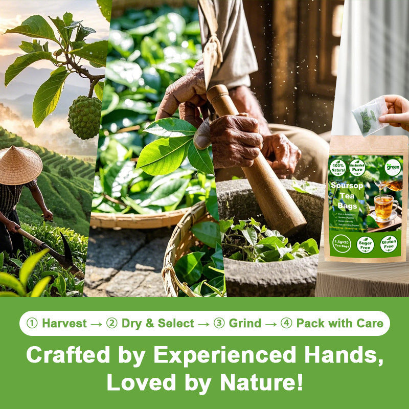 Thorn Fruit Annona Leaf Tea Bag