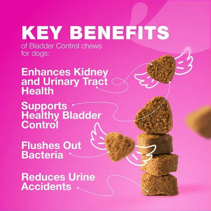 Dog UTI Treatment Dog Cranberry Supplement For Bladder Kidney Health
