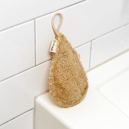 Exfoliating Loofah | Teardrop