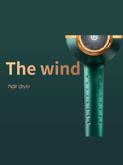 Adjustable Temperature Hair Dryer