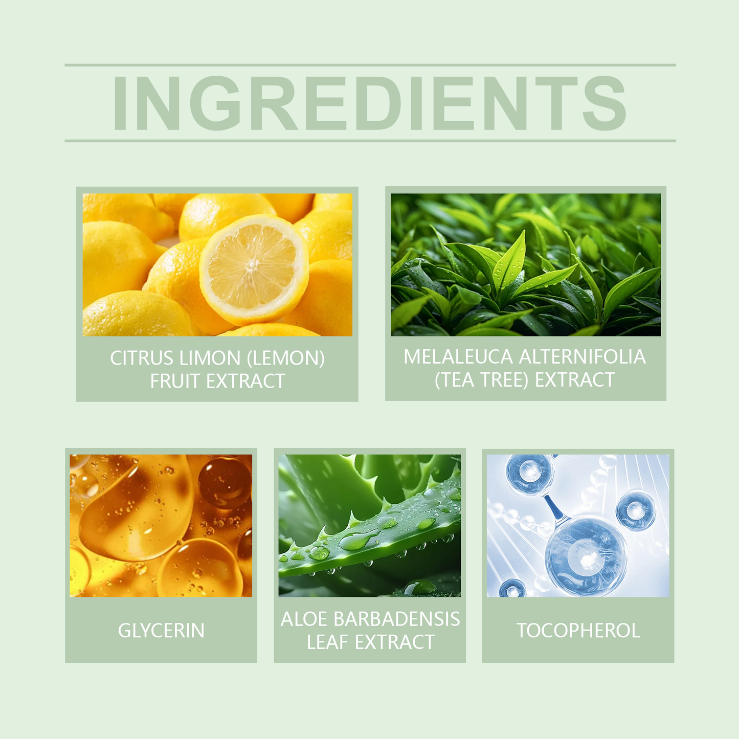 West&Month Purifying Exfoliating Gel, Improves Dull Dryness Deeply Cleans Pores Brightening Skin Firming