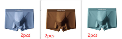 Men's Satin Light Luxury Ice Silk Underwear Summer Breathable Boxers Shorts New Boxers