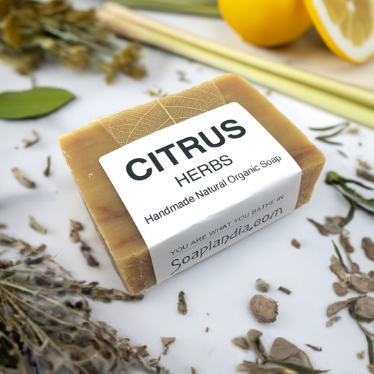 Citrus Herbs Bar Soap, Organic