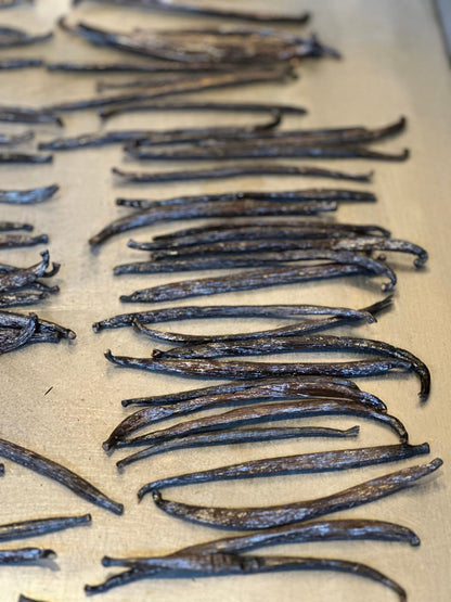 Pure Vanilla Extract