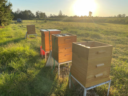 All Natural Raw Unfiltered Honey