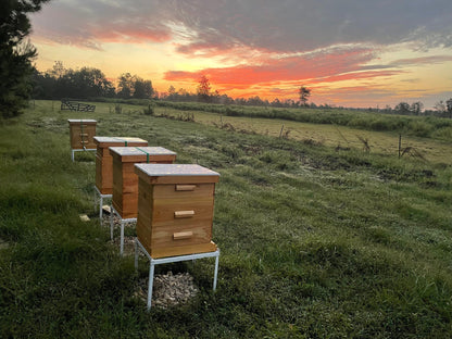 Red Pepper Infused Hot Honey