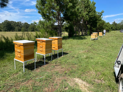 Red Pepper Infused Hot Honey